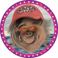 spazcoin β―οΈ (@spazvt) 's Twitter Profile Photo spazcoin β―οΈ (@spazvt) 's Twitter Profile Photo