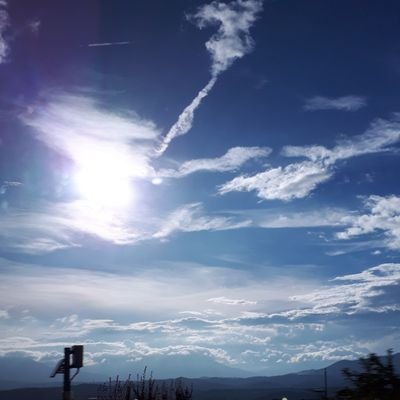はなさんのプロフィール画像