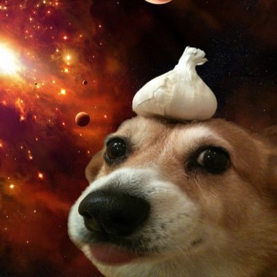 devMatta_'s profile picture. game director @anomalygamesinc
