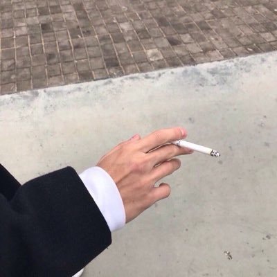 れんかさんのプロフィール画像