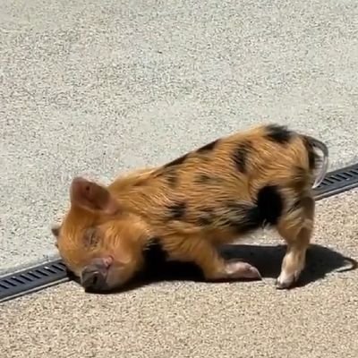 babyboy658's profile picture. 