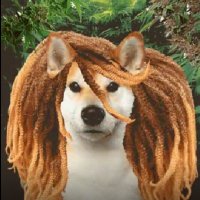 BigMountainNFT (@bigmountainnft) 's Twitter Profile