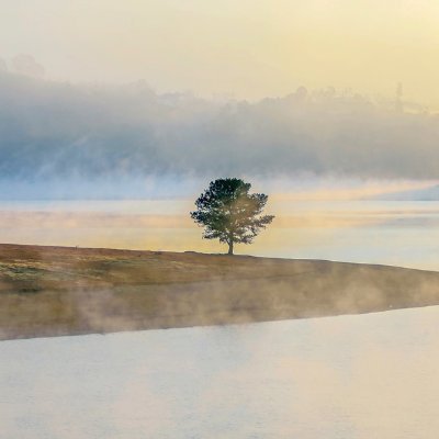 Trantha76984183's profile picture. Bác sỹ