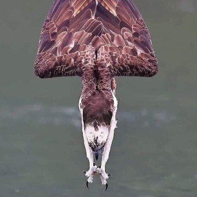 shahid__masud's profile picture. Excel | Power BI | Data Analytics & Business Intelligence | Data Visualization