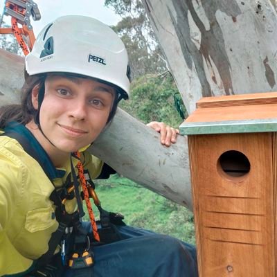 Conservation Biologist, specialising in all things tree dwelling 🌳 🐨 Research Fellow at the Australian National University. Views? Mine.