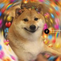 Bad_b (@memerbalak0) 's Twitter Profile