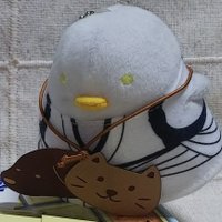 雪華(フェイ)の取引垢 (@_fe_i_sub) 's Twitter Profile