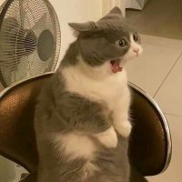 Nerio (@nerio25218) 's Twitter Profile Photo