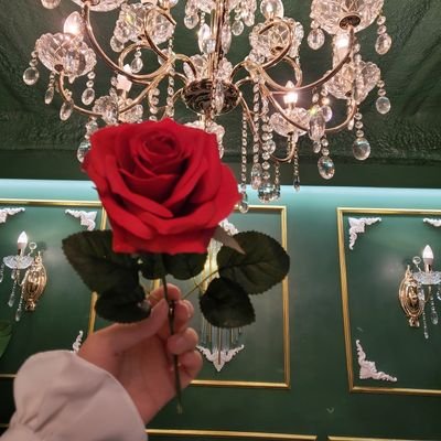 _lehella_'s profile picture. 𝓵𝓮𝓱𝓮𝓵𝓵𝓪_ | 연뮤 |
드큘 팬텀 플켄 웃남 하타