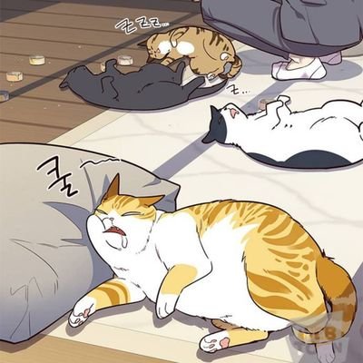 Sileshさんのプロフィール画像