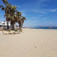 Subear 🇬🇧🇪🇸🇮🇳🇮🇱🎗 (@subear65) 's Twitter Profile