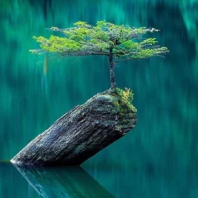 AgoroAbraham's profile picture. Never put urself in a position were u wil be indicted to any1 til the point yu can't turn down their request even when it is against your blive. Nitrograph