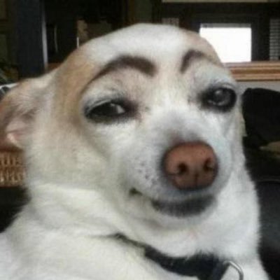 EdenPokkie's profile picture. Don’t try so hard, the best things come when you least expect them to