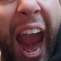 Segadreamer (@jsegadreamer) 's Twitter Profile