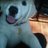 jalna61's profile image