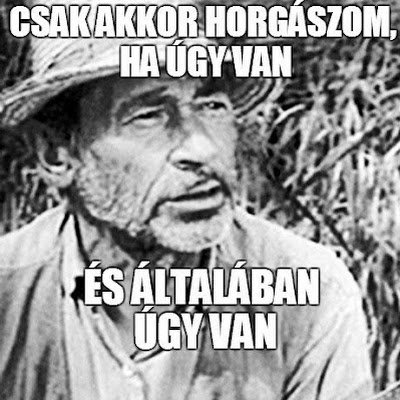 dkincses79's profile picture. 