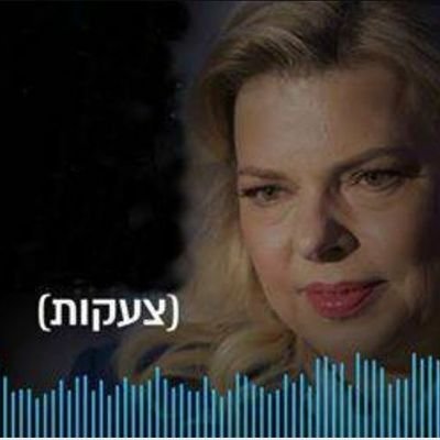 pkeep567's profile picture. 