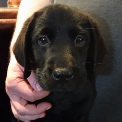 lsb9's profile picture. 