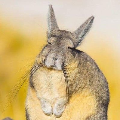 통쾌さんのプロフィール画像