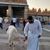 ಹರ್ಷ| Harsha (@harshith_hn) 's Twitter Profile