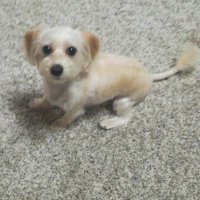 かっちゃん (@iroiro0804) Twitter profile photo