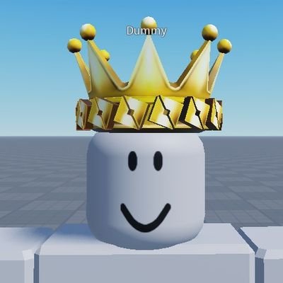 hi i'm king dummy i like roblox rule
34 and i upload every video i can find so sorry if i search anyone else's videos ;)