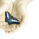 Rhonda Doll - @RhondaDoll1 - Twitter