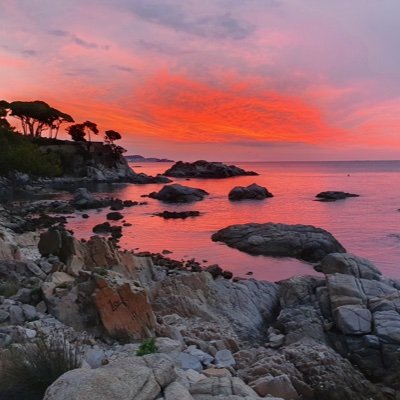 llarenu's profile picture. 