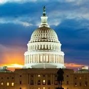 AlgoDistrict's profile picture. All things Algorand in Washington DC