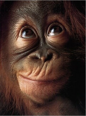 aishpat's profile picture. smarty pants, jokester, dream analyzer, nutella addict, portmanteaur, chic flik aficionada, tequila shot lover & pursuer of general merriment