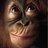 aishpat's profile image