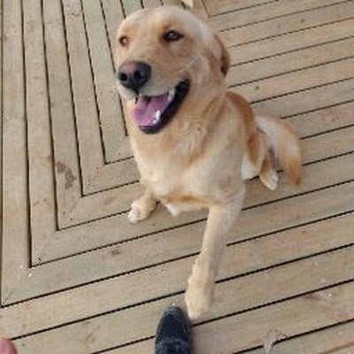 reiman_27's profile picture. 