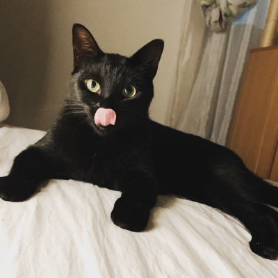 hamtarosan's profile picture. サガン鳥栖と佐賀バルーナーズとポテチが好き！
