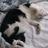 Ina_kari61's profile image