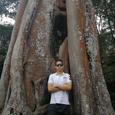 Programador en java☕🖥️,autodidacta en otros lenguaje,estudiando en @ucundinamarca | intento de guitarrista🎸🎸| friki y come libros, que más quiere saber pues?