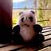 Pandi Pando (@pandopandu) Twitter profile photo Pandi Pando (@pandopandu) Twitter profile photo