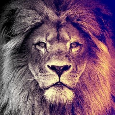 Master of Trading | Chart Sniper | Study my tweets to outperform me #bitcoin #crypto #stocks