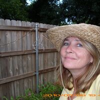 Lisa Newsom - @Comprenezvous Twitter Profile Photo