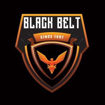 Black Belt believes in providing sharp security solutions enforcing firm belief in exceeding standards.🇮🇳