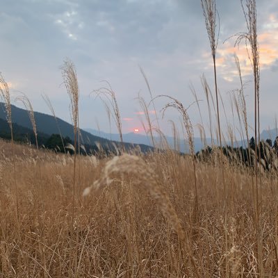 NypUi5's profile picture. 