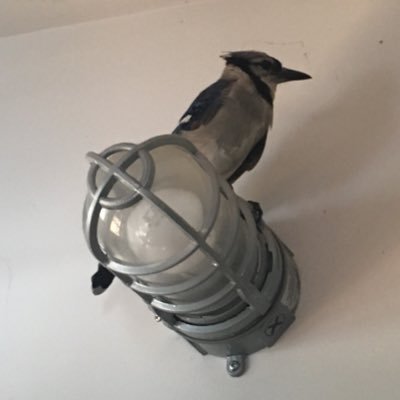 LeAnneHitchcoc1's profile picture. 