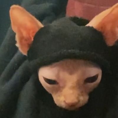 ʀᴇᴍɪɴɪꜱᴄᴇɴᴄᴇさんのプロフィール画像