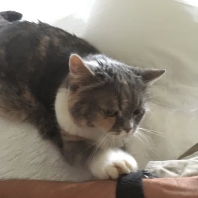 LeisegangRandal's profile picture. Nil