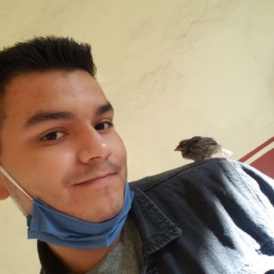 Me gusta darle Rt a hilos interesantes.
// MEXICO 🇲🇽 //