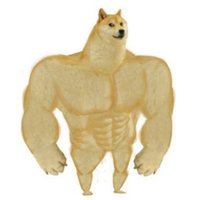 r16 (@nut123127) 's Twitter Profile