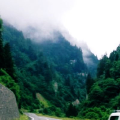 muhandisbey00's profile picture. 