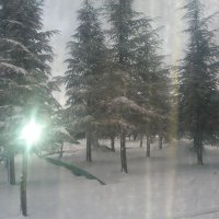 alpaslan (@alpaslan_gur) 's Twitter Profile