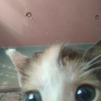 beomcuti's profile picture. 