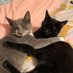 Jack ‘n’ Marv and RIP Queen P 🌈 10/11/21 (@jackandmarv) Twitter profile photo Jack ‘n’ Marv and RIP Queen P 🌈 10/11/21 (@jackandmarv) Twitter profile photo