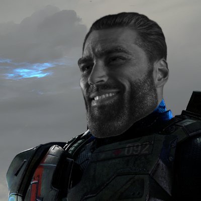 I am a highly accurate depiction of the average Halo enjoyer.